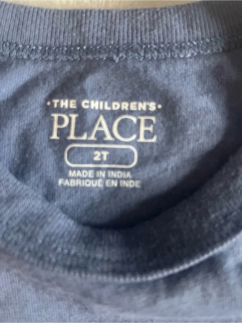 The‎ Children's Place Crewneck Graphic Long-Sleeve Tees Blue Brown Sz 2T